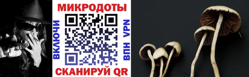 Псилоцибиновые грибы мицелий магазин продажи Данилов